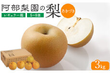 阿部梨園の梨（3kg　レギュラー箱）あきづき　※離島への配送不可　※2025年9月中旬～9月下旬頃に順次発送予定