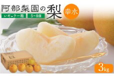 阿部梨園の梨（3kg　レギュラー箱）幸水　※離島への配送不可　※2025年8月中旬～8月下旬頃に順次発送予定