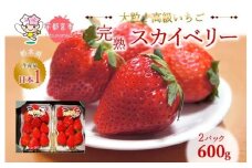 【1月発送】高級いちご 完熟スカイベリー2パック 600g ｜ いちご 栃木  スカイベリー 甘い 糖度 旬 新鮮 フルーツ 果物 アレンジ スイーツ いちごジャム フルーツサンド 贈答用 プレゼント ※2025年12月下旬～2026年3月下旬頃に順次発送予定 ※沖縄・離島への配送不可