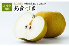 あきづき 5kg 【ふせや梨園】| 農家直送 梨 ナシ 果物 フルーツ 宇都宮市 栃木県 ※2025年9月中旬頃より順次発送予定