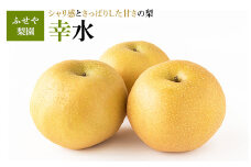 幸水 5kg 【ふせや梨園】| 農家直送 梨 ナシ 果物 フルーツ 宇都宮市 栃木県 ※2025年8月下旬頃より順次発送予定