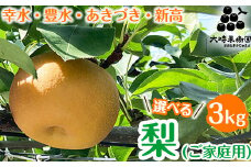 【新高】【選べる】梨　3kg箱（家庭用）　※2025年9月下旬～10月上旬頃に順次発送予定