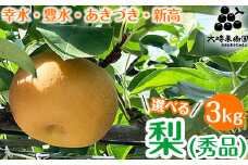 【豊水】【選べる】梨　3kg箱（秀品）　※2025年9月上旬～下旬頃に順次発送予定
