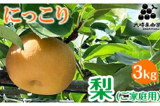 【先行予約】梨 にっこり (家庭用)  3kg ※2025年10月中旬頃より順次発送予定