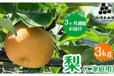 【定期便】梨(品種お任せ)  3kg箱(家庭用) | 栃木県 宇都宮市 梨 なし 果物 フルーツ 秋 旬 にっこり梨 3kg 家庭用 ※離島への配送不可 ※2025年8月から順次発送予定