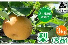 【定期便】梨(品種お任せ) 3kg箱(秀品) | 栃木県 宇都宮市 梨 なし 果物 フルーツ 秋 旬 梨 3kg 秀品 贈答 ギフト ※離島への配送不可 ※2025年8月から順次発送予定