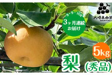 【定期便】梨(品種お任せ) 5kg箱(秀品) | 栃木県 宇都宮市 梨 なし 果物 フルーツ 秋 旬 梨 5kg 秀品 贈答 ギフト ※離島への配送不可 ※2025年8月から順次発送予定