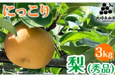 【先行予約】梨 にっこり (秀品)  3kg ※2025年10月中旬頃より順次発送予定