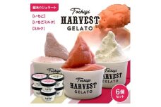 ジェラート「Harvest Gelato」 6個｜いちごジェラート ジェラート アイスクリーム アイスセット スイーツ デザート ミルク 夏ギフト 贈り物 お返し 誕生日 プレゼント ギフト お祝い 結婚 出産 内祝い