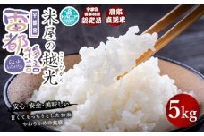 栃木県産コシヒカリ 「米屋の越光」5kg◇