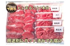 「下野牛」ヒレまるごと1本 F7Z-149