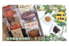 ＜栃木県産食材使用＞　そうざい６種類セット　（まるごとスープ、栃のきくらげ等×各１） F7Z-174
