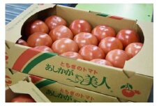 太陽の恵みを受けて育った あしかが美人トマト 4kg F7Z-250