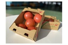 太陽の恵みを受けて育った あしかが美人トマト 1kg箱 × 2箱 F7Z-251