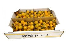 栃木県足利産のこだわりミニトマト甘さいっぱい「純愛トマト」2kg F7Z-254