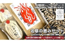 ＜あしかが輝き大使・薮崎シェフ＞ 名草の恵みセット（名草米のしょうが粥×3、名草生姜の麻辣火鍋×1）【 栃木県 足利市 】 F7Z-181