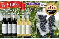 ココのジュース3＋3セット【 ジュース 栃木県 足利市 】 F7Z-013