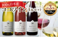ココワイン/ワイン3本セット【 ワイン お酒 栃木県 足利市 】 F7Z-023