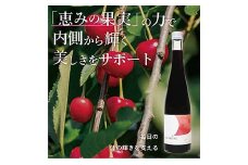 濃縮タルトチェリー500ml瓶 (3倍希釈タイプ)【 ギフト プレゼント お中元 お歳暮 贈答品 栃木県 足利市 】 F7Z-1369