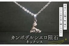 カンポデルシエロ隕石のネックレス F7Z-1327														