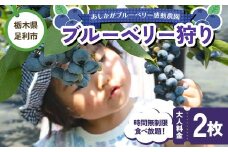 ブルーベリー狩り 時間無制限食べ放題 大人料金2枚 体験 イベント 栃木県足利市 F7Z-1346
