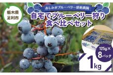 自宅でブルーベリー狩り 食べ比べセット 1kg F7Z-1348