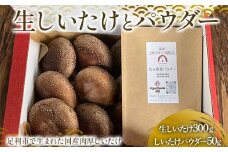 純国産菌床しいたけ 生しいたけ300g、しいたけパウダー50gセット 国産 野菜 椎茸 栃木 F7Z-1350