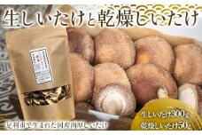純国産菌床しいたけ 生しいたけ300g、乾燥しいたけ50gセット 国産 野菜 椎茸 栃木 F7Z-1351