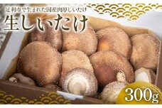 純国産菌床しいたけ 生しいたけ300g 国産 野菜 椎茸 栃木 F7Z-1352