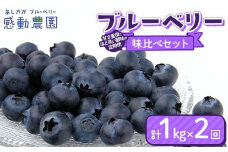 【定期便2ヶ月】ブルーベリー 甘み重視とほど良い酸味の2か月味比べセット 各月1kg 計2kg 冷蔵 栃木県 足利市 F7Z-1359