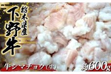 栃木県産 厳選下野牛！ 牛シマチョウ（生）約600g 国産 ブランド牛 牛肉 肉 焼肉 BBQ バーベキュー 食品 冷凍 贈答 贈り物 ギフト プレゼント 自宅 家庭 栃木県 足利市 F7Z-1599