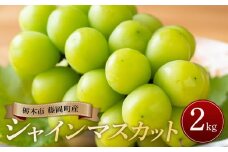 ぶどう シャインマスカット 栃木市藤岡町産 計2kg【フルーツ 果物 くだもの 食品 人気 おすすめ 】