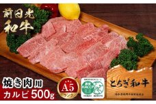 とちぎ和牛・前日光和牛（焼き肉用カルビ500g）｜肉 お肉 和牛 最高級 A5ランク A5等級 焼肉