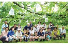 七ふしぎ農業体験（7品）【券 人気 おすすめ 】