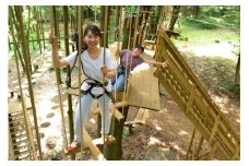 【3名様分】森の空中散歩！フォレストアドベンチャー・おおひら　体験チケット（初級コース）【券 人気 おすすめ 】