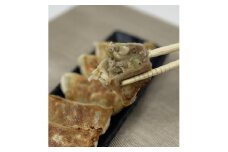肉汁爆発！特製プレミアム肉餃子【食品 加工食品 人気 おすすめ 】