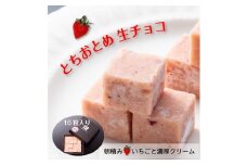  【ふるさと納税】 とちおとめ 生チョコレート（16粒入り） 栃木 とちぎ産 いちご イチゴ 苺 スイーツ 通販 お取り寄せ