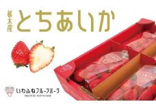 【先行予約】栃木市岩舟産とちあいか【フルーツ 果物 くだもの 食品 人気 おすすめ 】