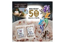 渡良瀬の稔り 発芽する玄米 「彩とりどり米」（ 雑穀 玄米 600g ) | 15年以上 無農薬 無化学肥料 除草剤不使用  池田農園 栃木県産 オール玄米 グルテンフリー 保存便利なチャック付ポリ袋 お米 玄米 雑穀米【お米 こめ 食品 人気 おすすめ 送料無料】