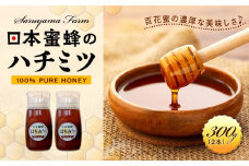 日本蜜蜂のハチミツ100％！はちみつ（逆さ容器300ｇ2本）  高級 自然食品 無添加 ニホンミツバチ