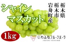 栃木市岩舟産シャインマスカット　1kg【フルーツ 果物 くだもの 食品 人気 おすすめ】
