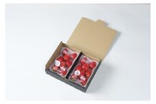 【2025年12月下旬～発送】谷中農園のいちご「 とちあいか 」約280g入（一粒約22g以上、5～9粒入り）×2パック | 果物 フルーツ いちご 栃木 ブランド 栃木県【フルーツ 果物 くだもの 食品 人気 おすすめ 】