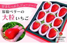 【先行予約受付】≪2026年2月発送≫原宿ベリーの「大粒いちご」【フルーツ 果物 くだもの 食品 人気 おすすめ 】