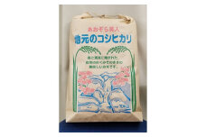 ＜令和3年産＞あおぞら美人10kg(精米)【1061351】