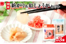 国産 新がり・国産 紅しょうがセット【1073900】