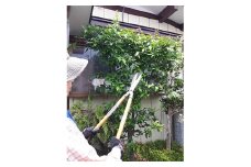 あんしん空き家管理サービス【1079120】