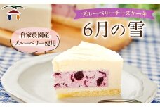 ブルーベリーチーズケーキ　6月の雪【1082307】