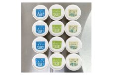 サイチェス定番フローズンヨーグルト　3種(130ml)各4個　計12個セット_ ヨーグルト フローズンヨーグルト 乳製品 セット アイス デザート おやつ 人気 おすすめ 送料無料 ギフト 贈答 【1142461】