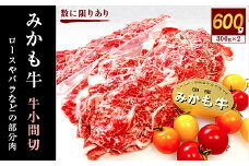 「みかも牛」牛小間切600g(300g×2)【1257310】