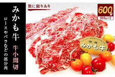 「みかも牛」牛小間切600g(300g×2)【1257310】